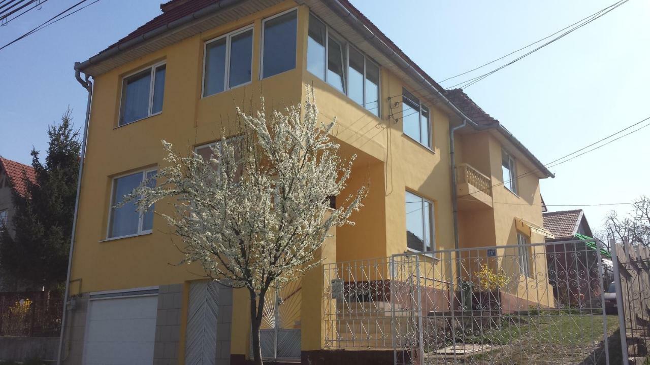 Casa Salin Otel Turda Dış mekan fotoğraf